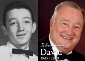David Webb