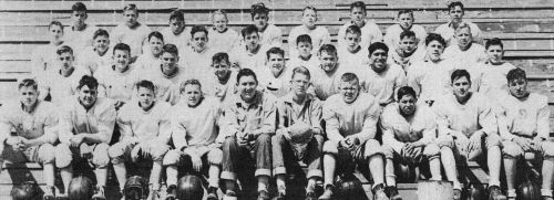 1950 Bulldog pups