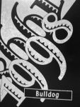 1998 RHS yearbook