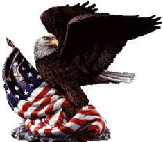 Eagle flag