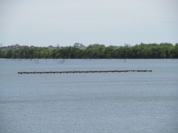 old Bankhead Highway bridge in Rowlett
